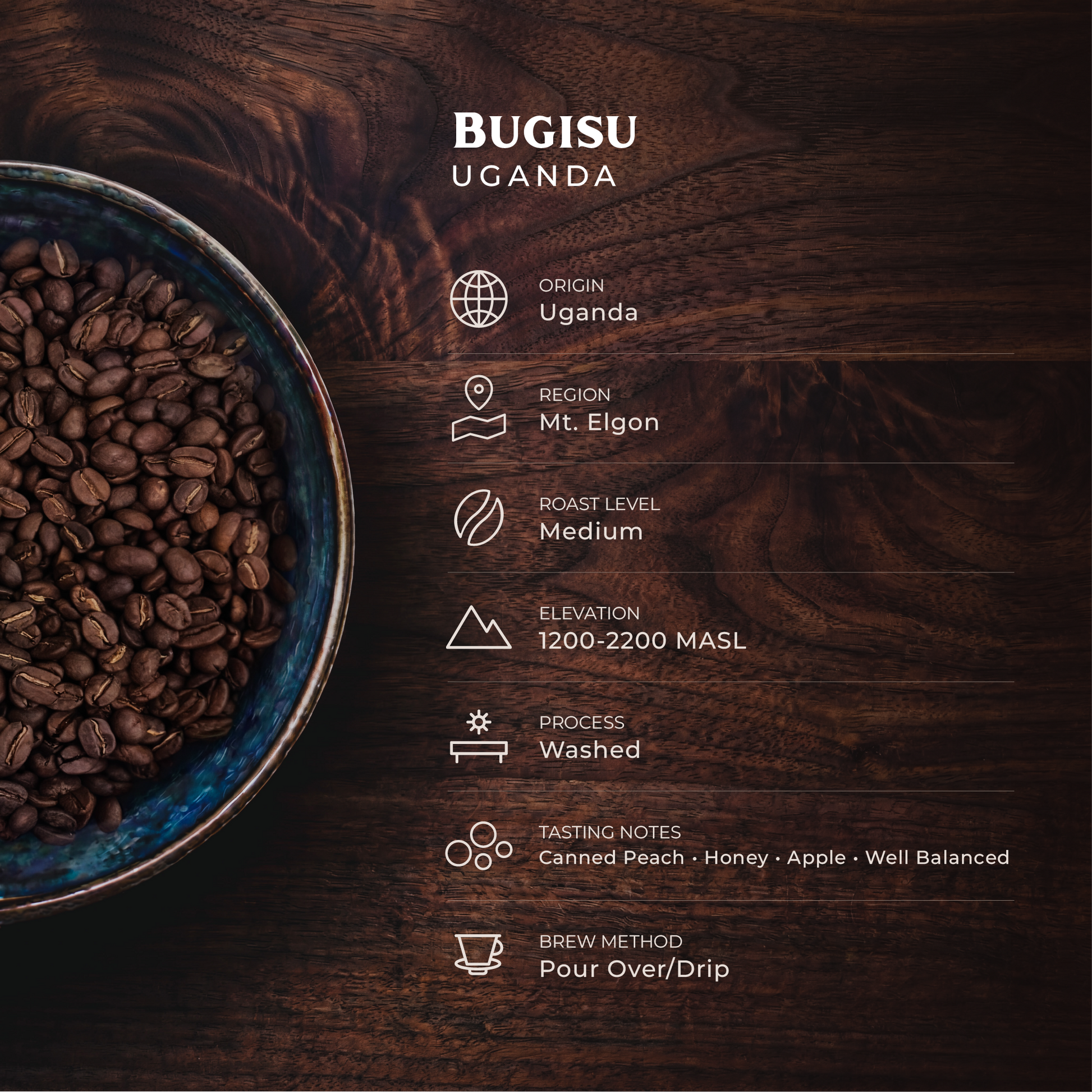 Bugisu AA, Uganda - Medium Roast