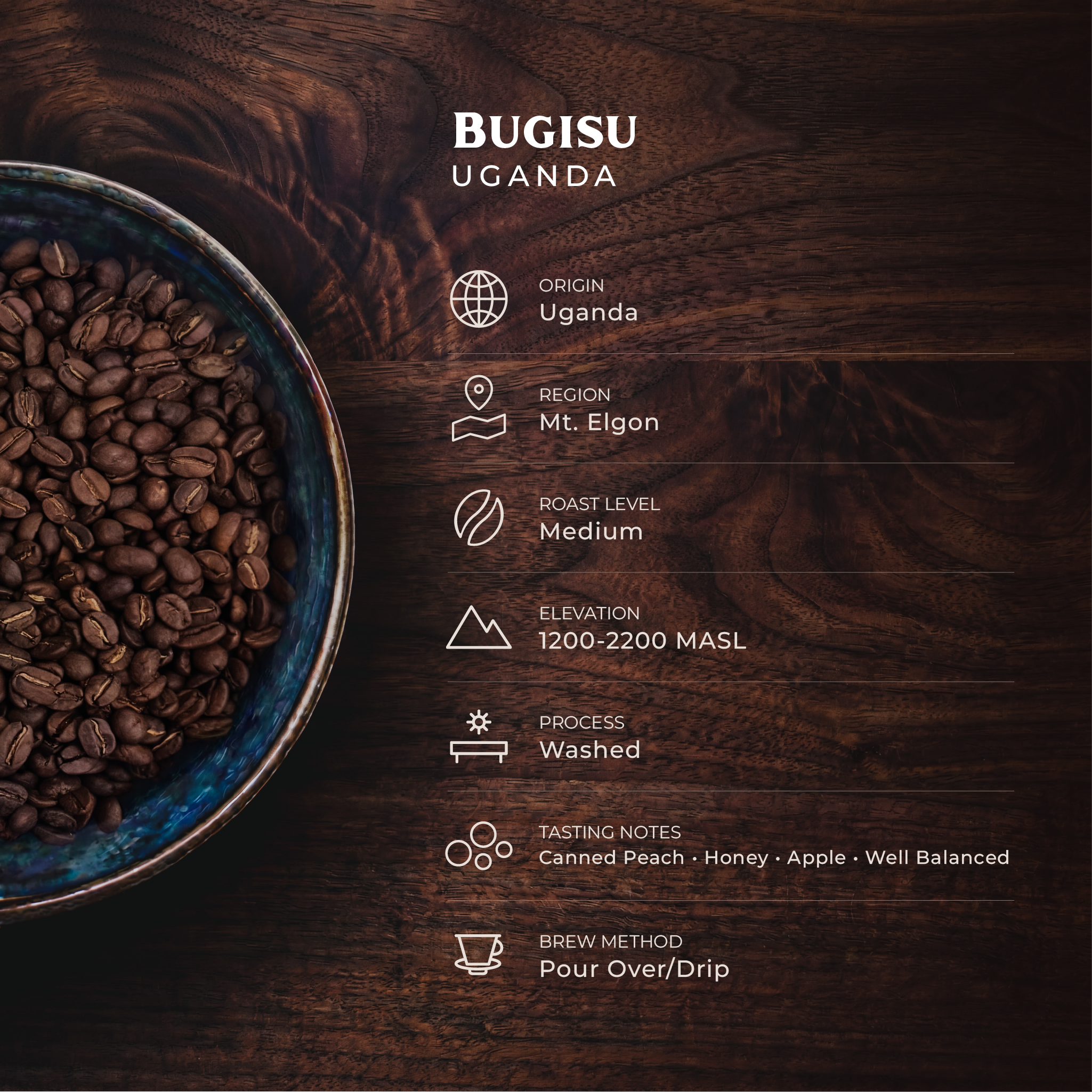 Bugisu AA, Uganda - Medium Roast