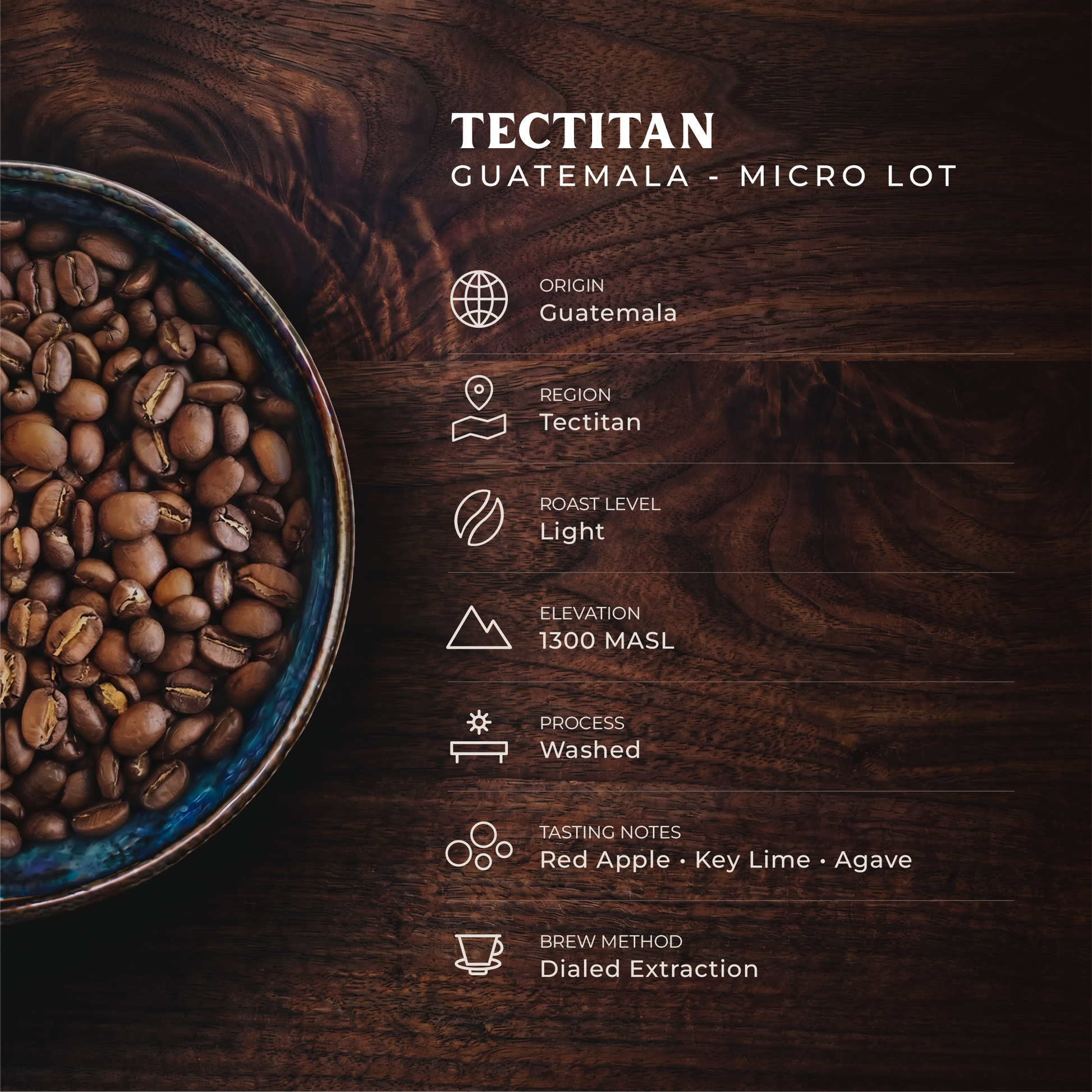Tectitán, Guatemala - Mauricio Bravo Lote Especial - Light Roast