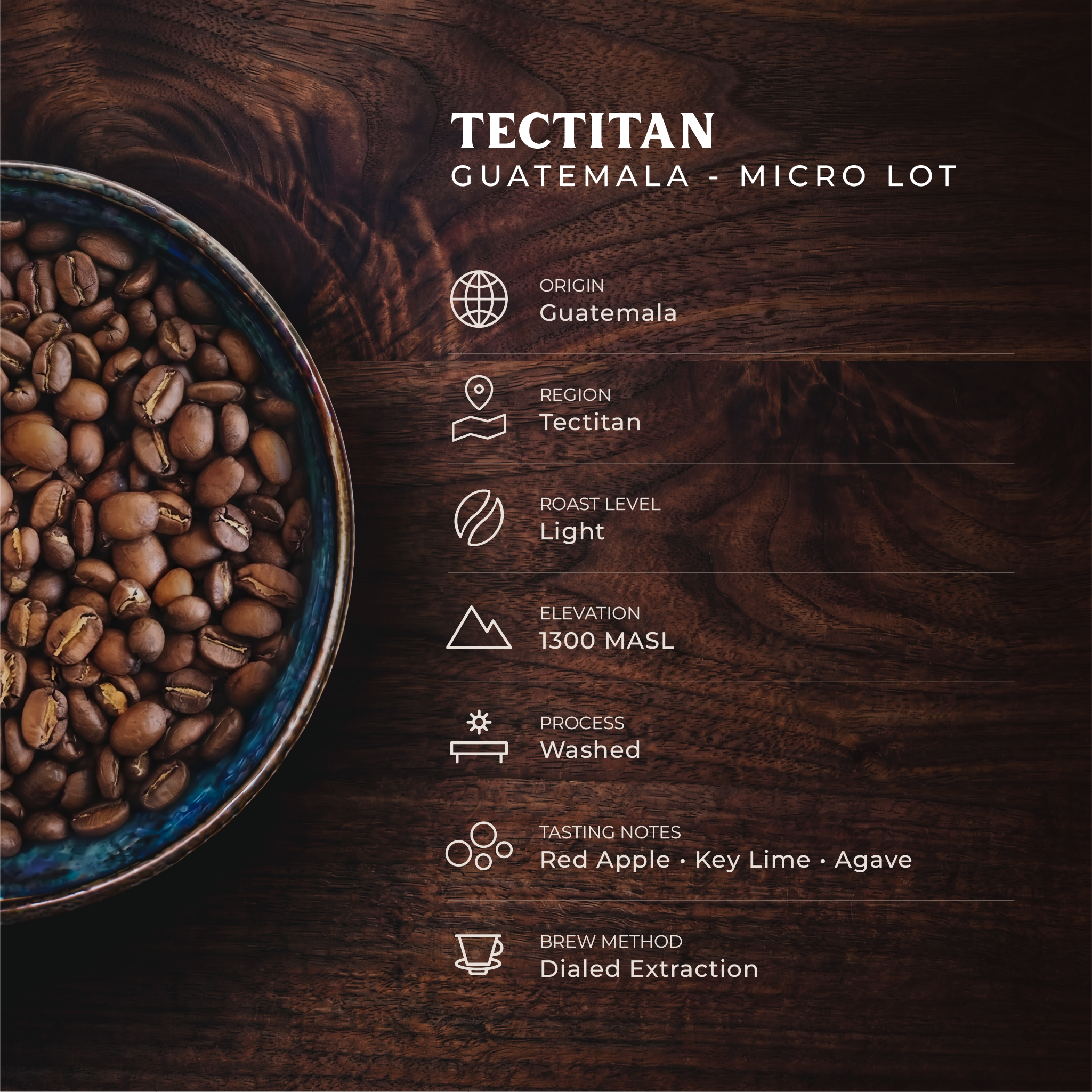 Tectitán, Guatemala - Mauricio Bravo Lote Especial - Light Roast